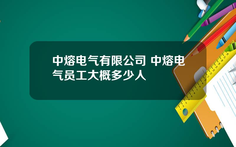 中熔电气有限公司 中熔电气员工大概多少人